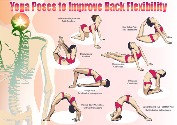 Yoga Poses to Improve Back Flexibility - Vector, Image