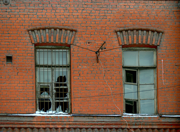 Old windows with broken glass - 写真・画像