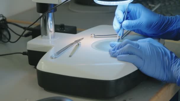 Τεχνικός Εργαστηρίου, κρατώντας ένα πείραμα στο εργαστήριο - Πλάνα, βίντεο