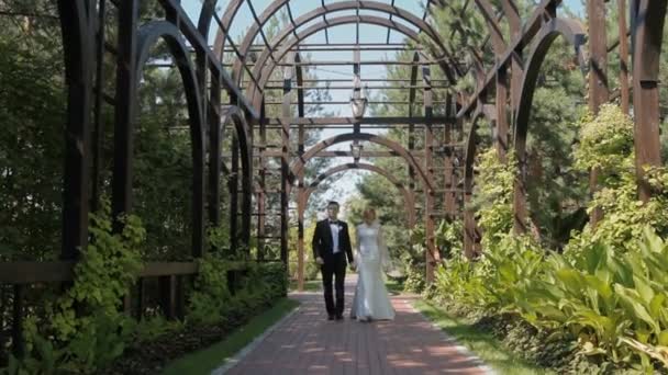 Bride and groom walk in the park - Footage, Video