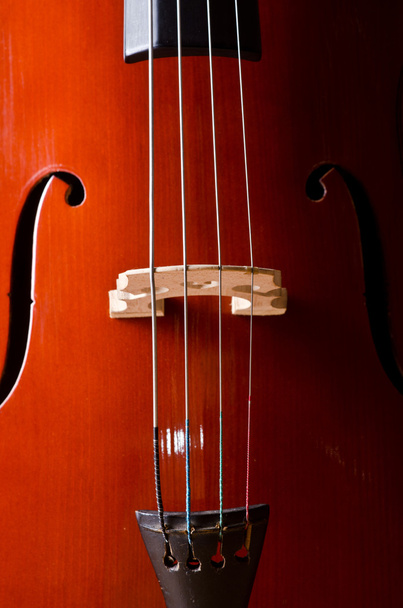 Música Cello en la habitación oscura
 - Foto, Imagen