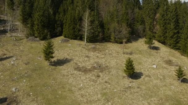 Політ над ялиновими деревами в бік скелястої гори
 - Кадри, відео