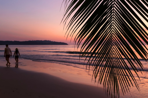 Palmiye ağacı üzerinde tropikal günbatımı - Fotoğraf, Görsel