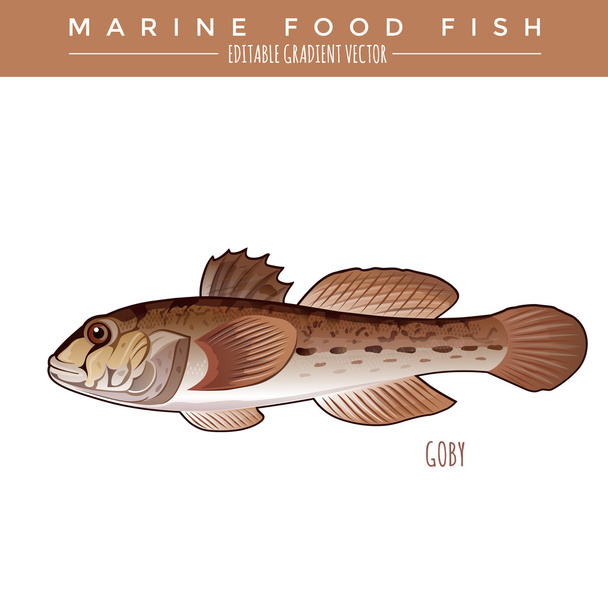 Goby. Marine Food Fish - Wektor, obraz