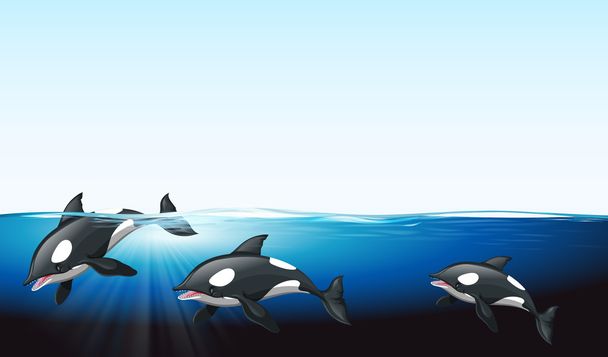 Whales swimming under the sea - Wektor, obraz