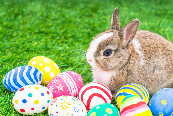 tavşan ve Paskalya yortusu yumurta - Fotoğraf, Görsel