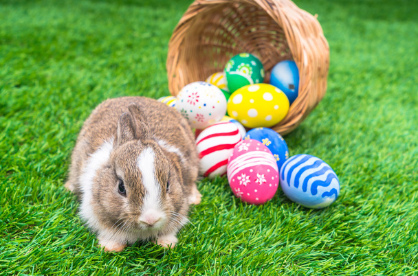 konijn en Pasen eieren - Foto, afbeelding