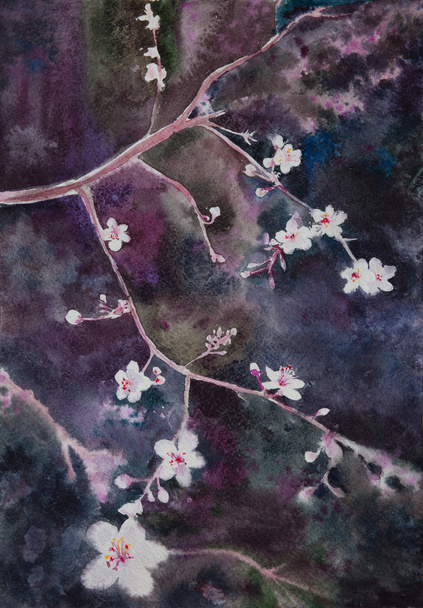 beautiful  handpainted watercolor blooming apricot tree brunch - Photo, Image