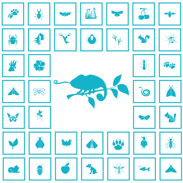 Set of forty nature icons - Вектор, зображення