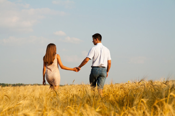 Пара кохання, що йде через пшеничне поле
 - Фото, зображення