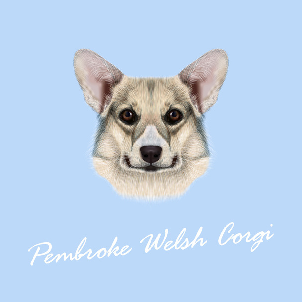 Vector illustrated portrait Pembroke Welsh Corgi Dog - Vector, Image