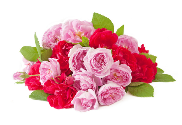 Bouquet de fleurs roses isolé sur fond blanc
 - Photo, image