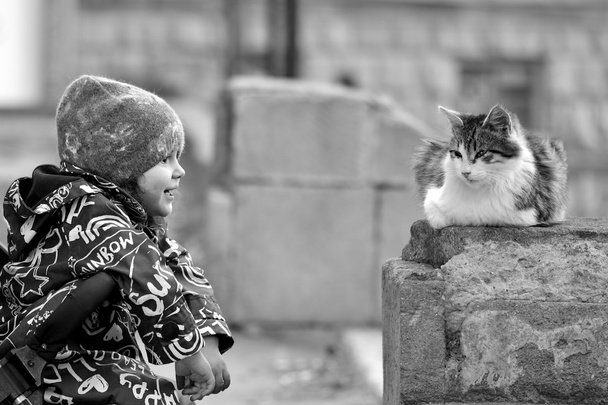 Young girl in pushchair with stray cat in Baku, capital of Azerbaijan - Photo, Image