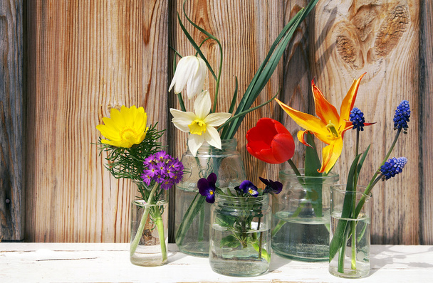 Spring flowers display on wood backgroun - Zdjęcie, obraz