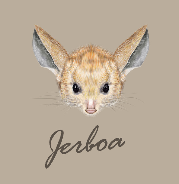 Vector illustrated portrait of Jerboa.  - Vector, Image