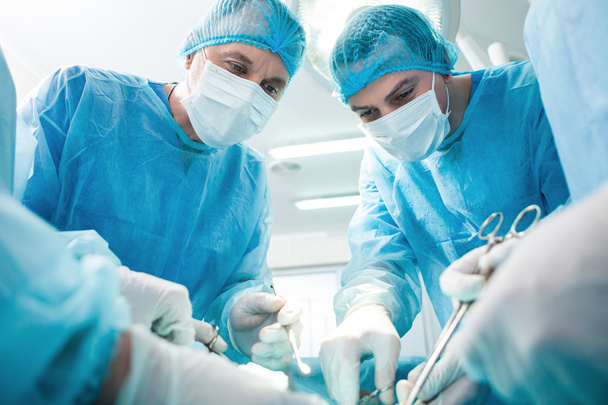 These are the real experts in surgical province - 写真・画像