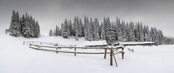 Árboles de invierno en montañas cubiertas de nieve
 - Foto, Imagen