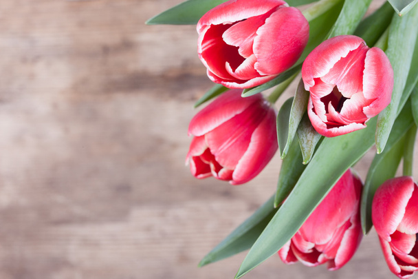 red tulips on a background of old wood - Photo, Image