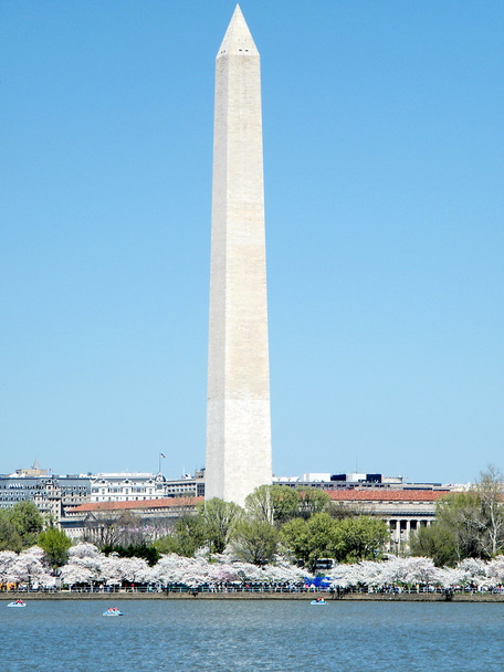 Washington Monument 2010
 - Фото, изображение