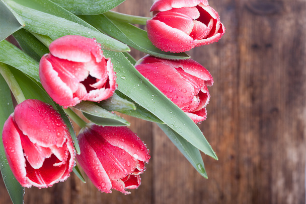 Tulpen in Tautropfen auf Holz Hintergrund - Foto, Bild