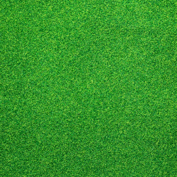 Zelené pozadí trávy - Fotografie, Obrázek