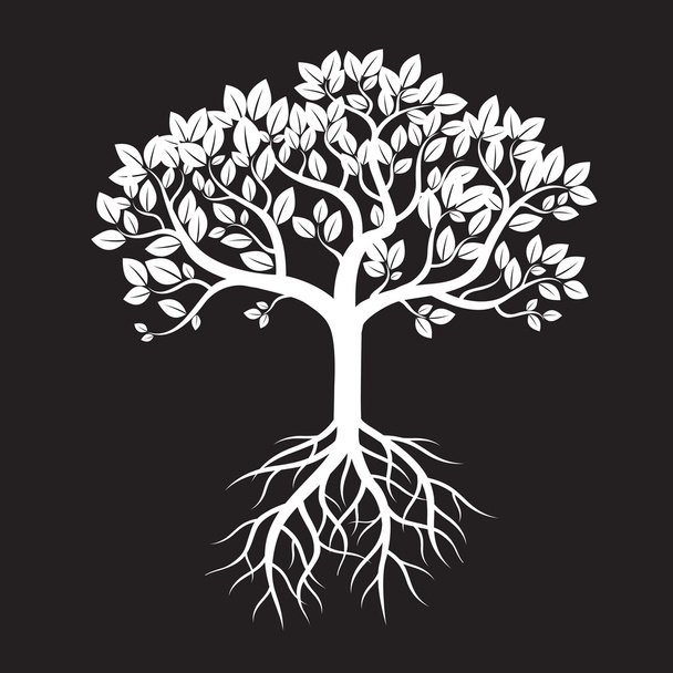 White Tree and Roots. Vector Illustration. - Vector, Image