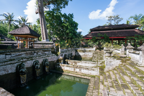 Isola di Bali, Indonesia
 - Foto, immagini