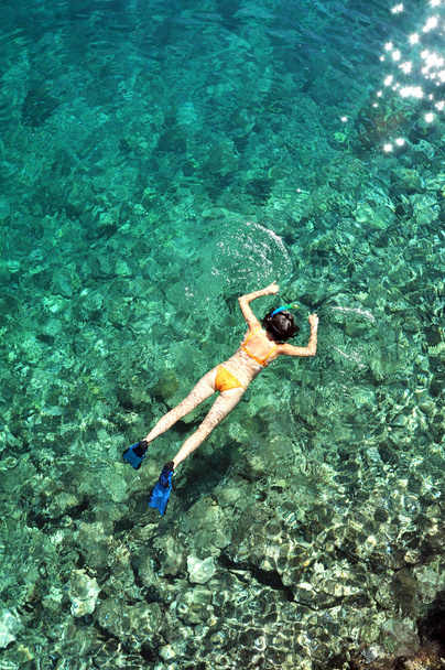 Donna che fa snorkeling in acque tropicali cristalline
 - Foto, immagini