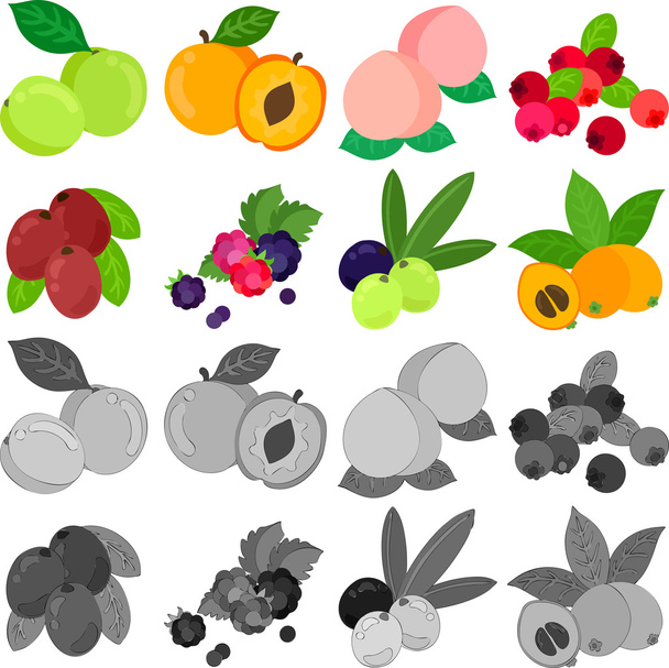 Os ícones dos frutos
 - Vetor, Imagem