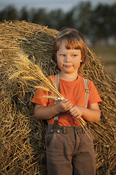boy in a haystack in the field - Fotó, kép