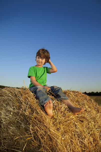 boy in a haystack in the field - Foto, immagini