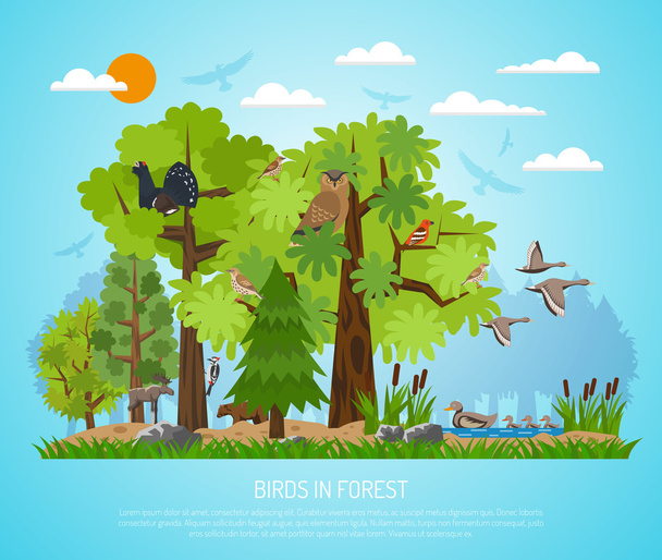 Плакат о птицах в лесу
 - Вектор,изображение