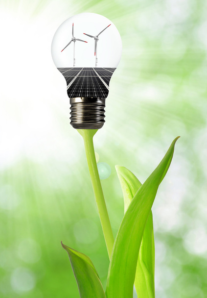 Ampoule avec panneau solaire et éoliennes
 - Photo, image