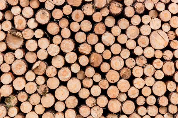 Téli fából készült rönkök - Fotó, kép