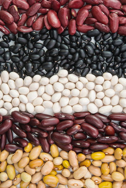 さまざまな色の腎臓豆 - 写真・画像