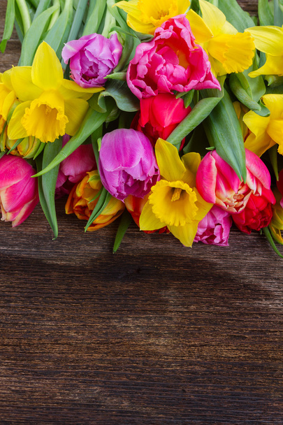 bouquet of   tulips and daffodils - Foto, Bild