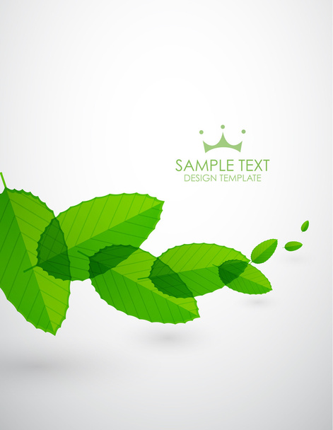 Green leaves background - Вектор,изображение