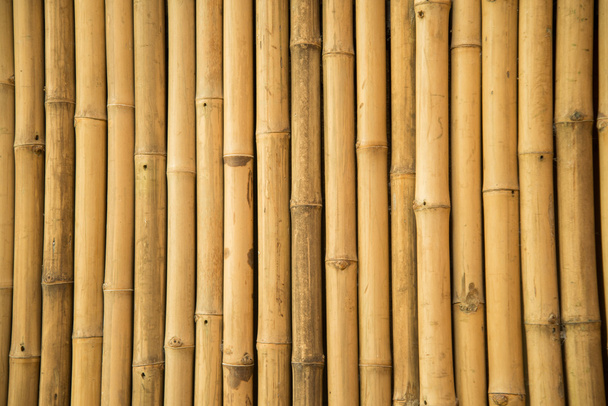 bambù parete texture sfondo primo piano
 - Foto, immagini