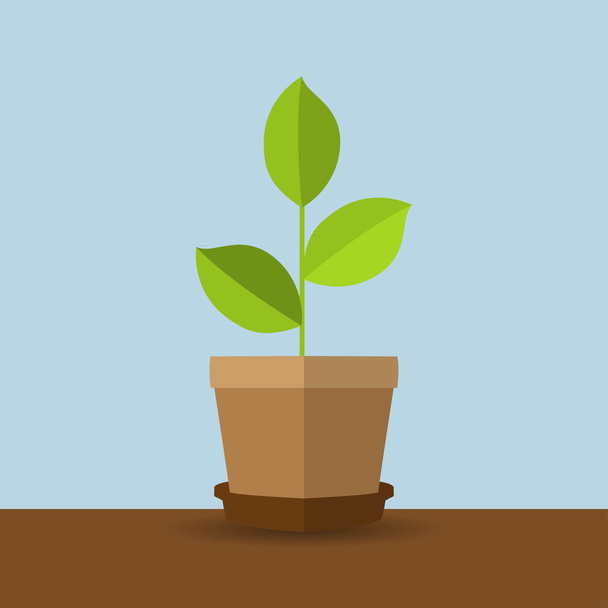 Πράσινο φυτό σε μια κατσαρόλα με μια σκιά σε μια επίπεδη σχεδίαση - Διάνυσμα, εικόνα