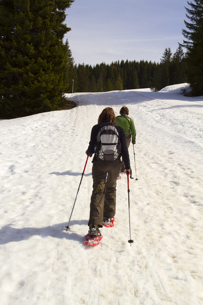 Прогулянки снігом
 - Фото, зображення