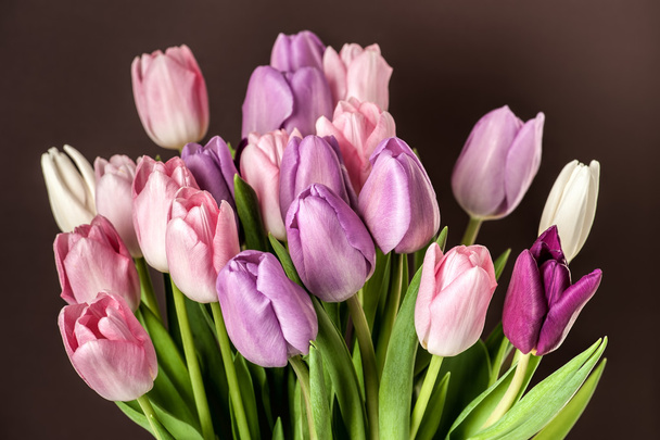 Colorful tulips close-up - Fotoğraf, Görsel