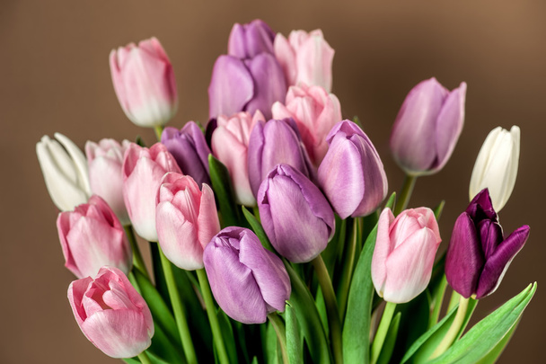 Colorful tulips close-up - Fotó, kép