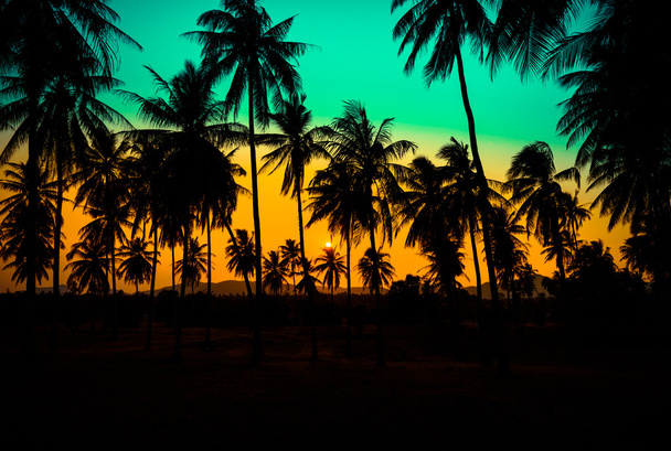Silhouet kokosnoot palmbomen op het strand bij zonsondergang. Vintage toon. - Foto, afbeelding