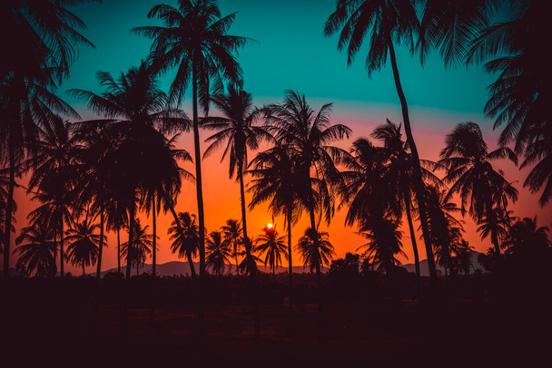 Siluetti kookospähkinä palmuja rannalla auringonlaskun aikaan. Vintage-sävy. - Valokuva, kuva