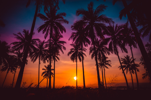 Силуэт кокосовые пальмы на пляже на закате. Винтажный тон. - Фото, изображение