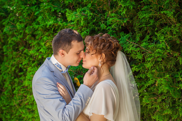 A vőlegény csók a menyasszony gyengéden - Fotó, kép