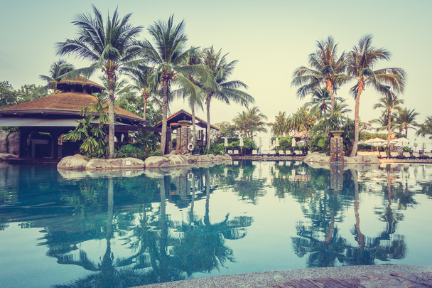 Luksusowy basen z palmami - Zdjęcie, obraz