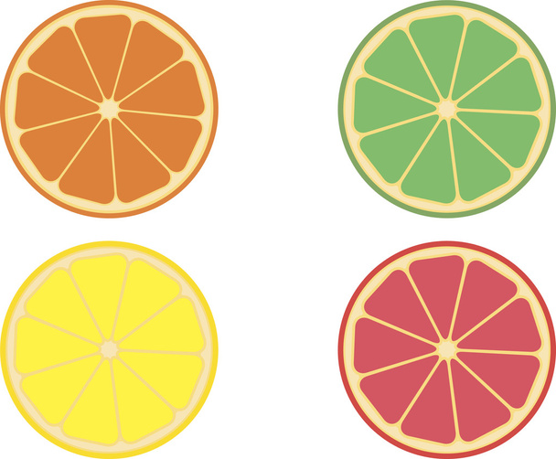 Citrus fruits - Vektor, Bild
