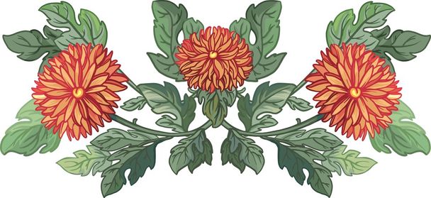 Vector illustration. bright chrysanthemums - Vetor, Imagem