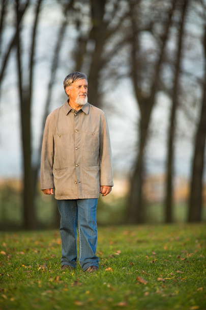 Portrait of a senior man outdoors, walking in a park - Foto, imagen